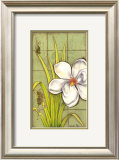 Sugar Magnolia (P) I Poster by Jennifer Goldberger Sugar Magnolia (P) I Poster by Jennifer Goldberger