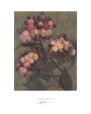 Autumn Kisses II Print by S. G. Rose