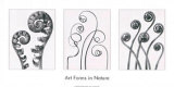 Formes artisitques dans la nature I Poster par Karl Blossfeldt
