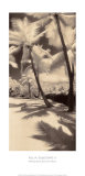 Palm Shadows II Poster by Susan Friedman
