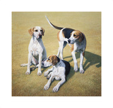 Cotswold Foxhounds Limited Edition by Gary Stinton