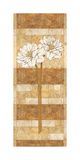 Flora Blanca I Posters by Linda Wood Flora Blanca I Posters by Linda Wood