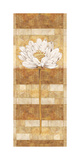 Flora Blanca II Prints by Linda Wood Flora Blanca II Prints by Linda Wood