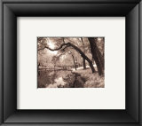 Daydream Prints by Mike Jones