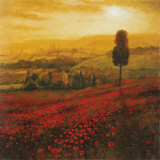 Shades of Poppies Poster tekijänä Steve Thoms