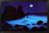 Costa da Califórnia Posters por William Hartshorn