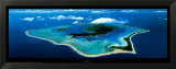 Bora Bora, îles sous le vent Posters
