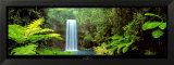 Millaa Millaa Falls, Queensland, NE Australia Affiches par Peter Lik