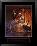 Excellence - Bengal Tiger Kunst af Stuart Westmoreland Excellence - Bengal Tiger Kunst af Stuart Westmoreland