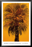 La Jolla Prints by Robert Charles Dunahay