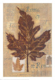 Harvest II Prints by Craig Alan