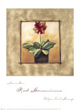 Red Geraniums Print by Maria Eva