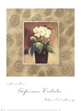 African Violets Prints by Maria Eva