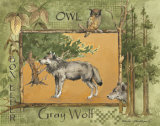 Gray Wolf Print by Anita Phillips