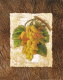 Fruits of the Vine II Art