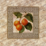 Fruit & Fiber I Prints