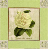 Camellia Mad Lemonnier Poster