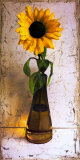 Sunflower in an Amber Vase Prints by Tania Darashkevich