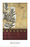 Spice of Life I Prints by Eva Maria