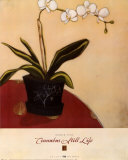 Cinnabar Still Life II Art by Maria Eva