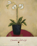 Cinnabar Still Life I Posters by Maria Eva