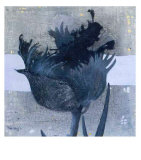 Estella Tulip I Poster by Heleen Vriesendorp