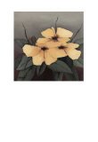 Yellow Flowers I Prints by Andre 