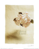 Cut Flowers I Prints by Vincenzo Ferrato