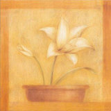 Refined Flower I Poster by Lewman Zaid