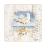 Seagull Prints by Pascal Cessou