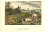 Folle et Mitte Prints
