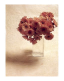 Cut Flowers IV Posters by Vincenzo Ferrato