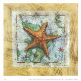 Etoile de mer Affiches par A. Vega