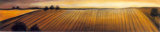 Low Horizons II Print by A. Taylor