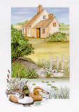 Summer, Duck Prints