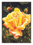 The Golden Flower Prints by N. Fiore