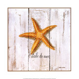 Etoile De Mer Poster par Pascal Cessou