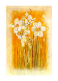 Narcisses II Prints by Laurence David