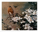 Spring Rain Art by Alan Sakhavarz Spring Rain Art by Alan Sakhavarz