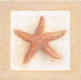 Etoiles De Mer 1 Láminas por Laurence David Etoiles De Mer 1 Láminas por Laurence David