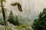 Mist and Majesty Prints by Alan Sakhavarz