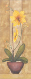 Melodic Orchid VI Posters by Urpina