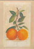 Two Oranges Posters by Laurence David