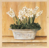 Les Fleurs Blanches, Jacinthes Art par Laurence David