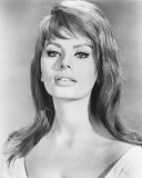 Sophia Loren Photo