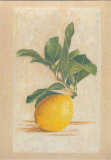 Lemon Posters by Laurence David Lemon Posters by Laurence David