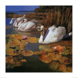 The Swans Family II Prints by Spartaco Lombardo