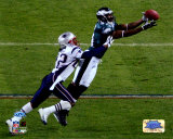 Terrell Owens - Super Bowl XXXIX - Catches A 10 Yard Pass Photo