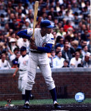 Ernie Banks : position de frappe Photographie