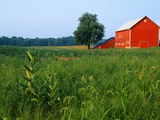 Red Barn in Green Field Photographic Print by Bruce Burkhardt